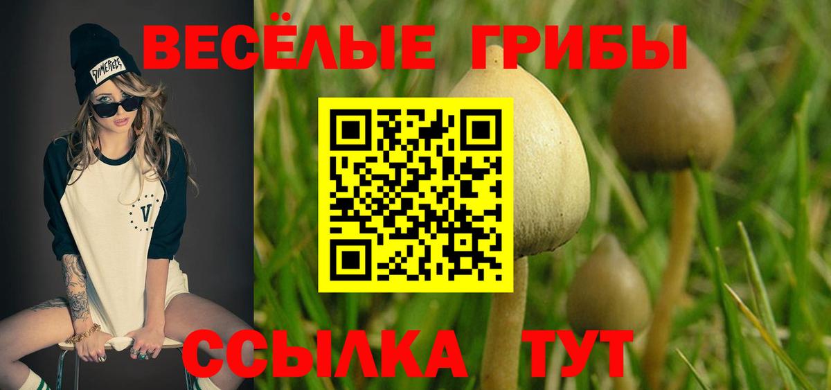 Псилоцибиновые грибы мицелий  Галлюциногенные грибы прущие грибы  Вход с VPN  Комсомольск-на-Амуре 